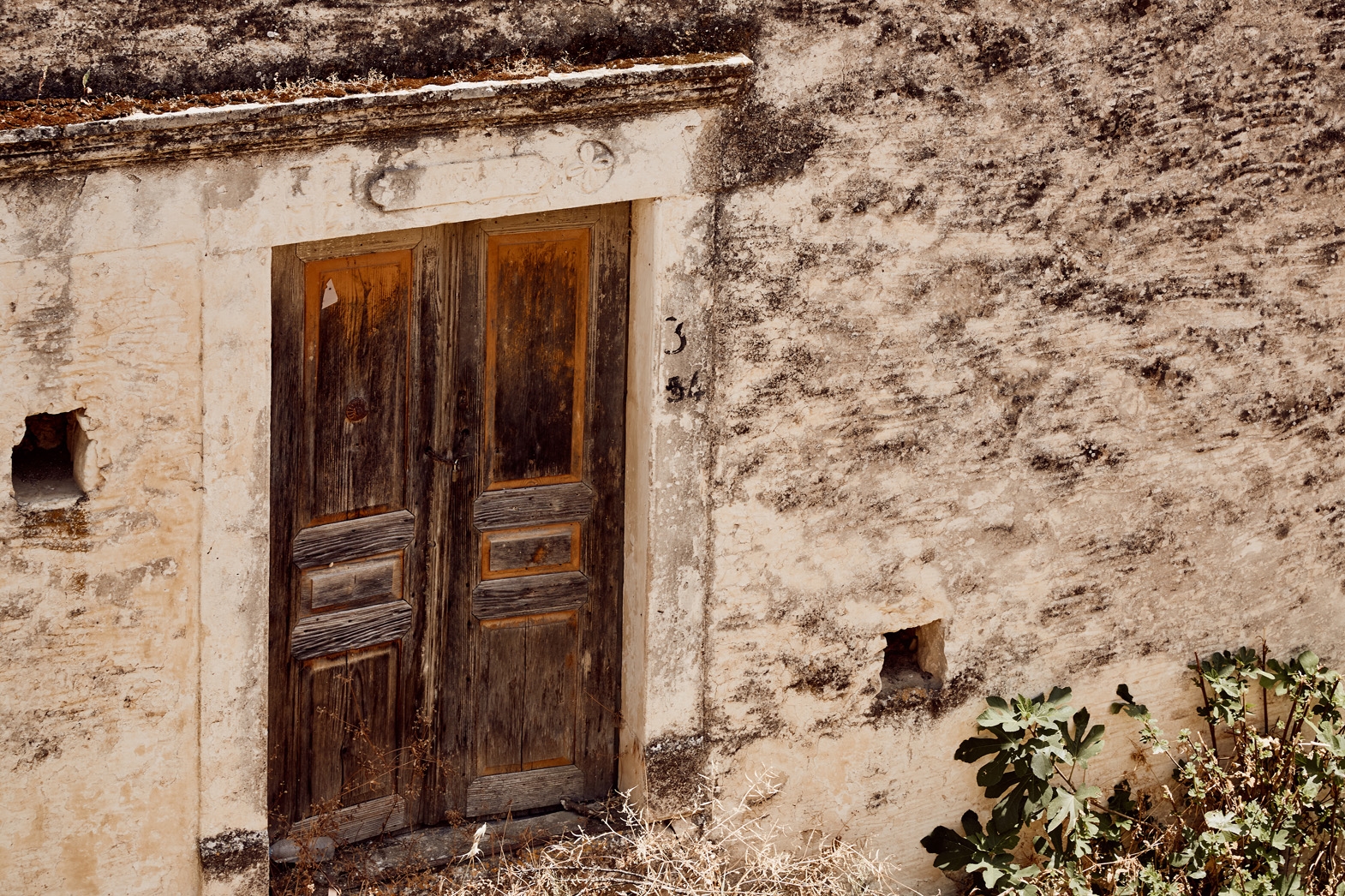 Seven Olea - Crowers  Estate-7