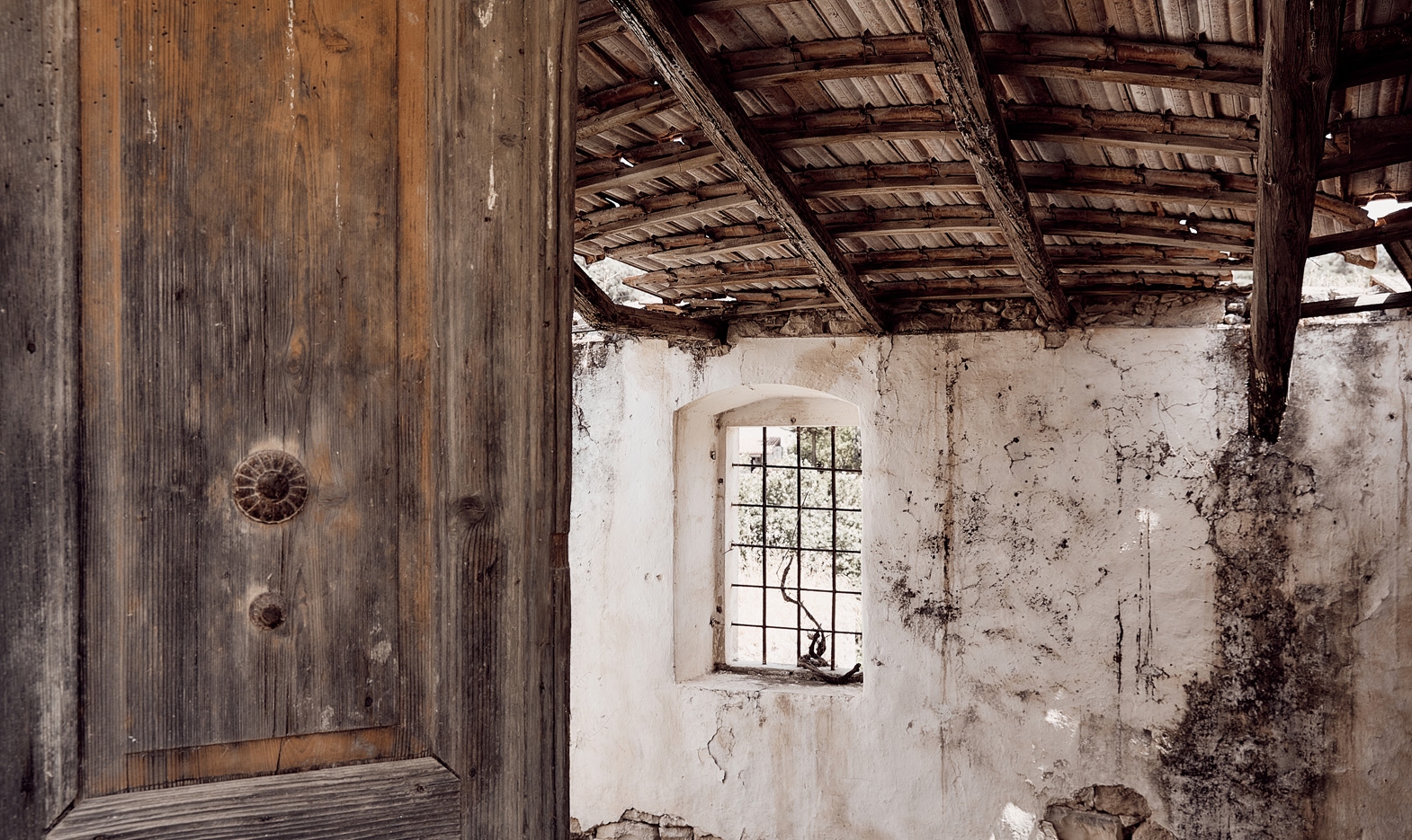 Seven Olea - Crowers  Estate-8